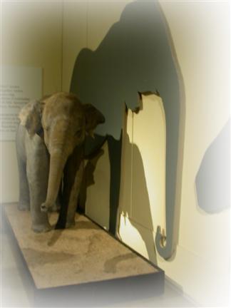 berlin elephant 2 feather.jpg - Persistence of Insincerity detail